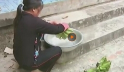 Nguy cơ từ hoa quả trái mùa: Chỉ bán chứ không ăn?